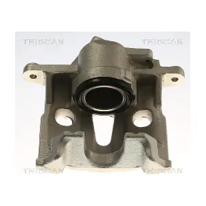 8175 29176 TRISCAN