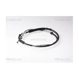 57781 TRISCAN