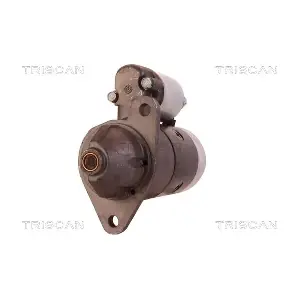 8305 29065 TRISCAN