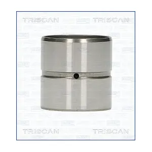 TRISCAN 80-29001