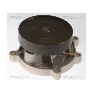 860011062 TRISCAN