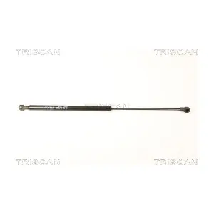 TRISCAN 8710 25252