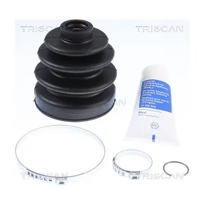 8540 43809 TRISCAN