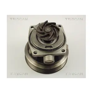 TRISCAN 860010006
