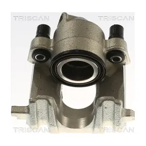 8175 29131 TRISCAN
