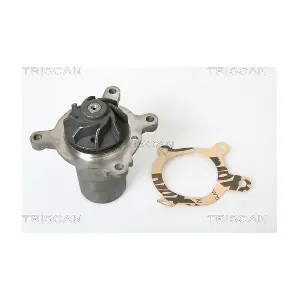 8600 23890 TRISCAN
