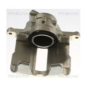 8175 29143 TRISCAN