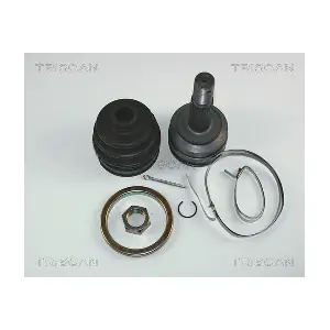 607295 METELLI