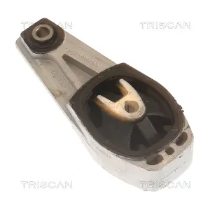 TRISCAN 850528102