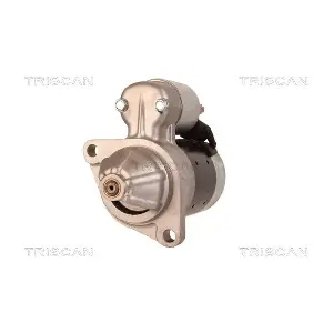 8305 24002 TRISCAN