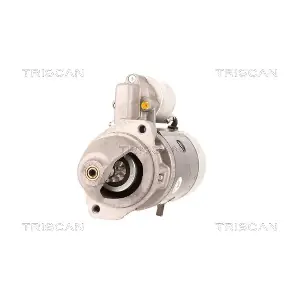 TRISCAN 8305 29023