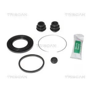 8170 204331 TRISCAN