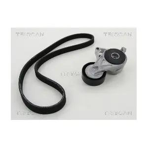 8642 29013 TRISCAN
