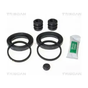 8170 204325 TRISCAN