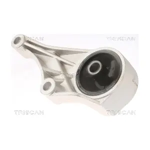 TRISCAN 8505 24100