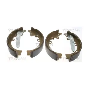 810013040 TRISCAN