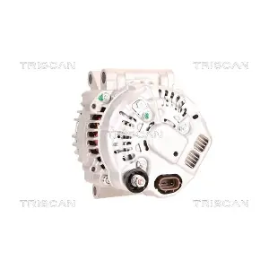 8310 29076 TRISCAN