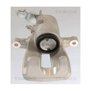 TRISCAN 8175 29227
