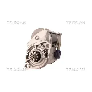 TRISCAN 8305 20001