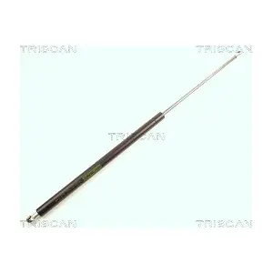 TRISCAN 8710 28218