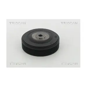 8643 25009 TRISCAN