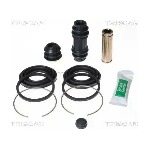 8170204308 TRISCAN