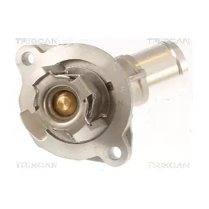 862024101 TRISCAN