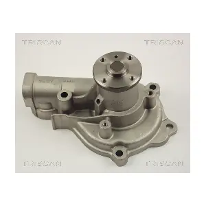 TRISCAN 860042011