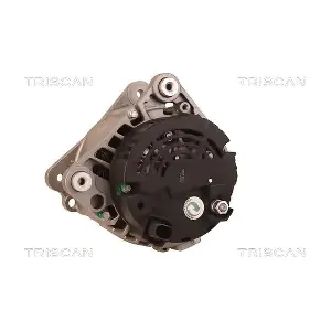 TRISCAN 8310 29044