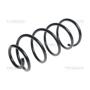 875027102 TRISCAN
