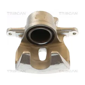 TRISCAN 8175 13138
