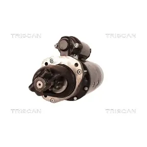 TRISCAN 8305 29051