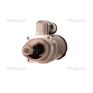 8305 11013 TRISCAN