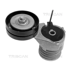 TRISCAN 8641 293002