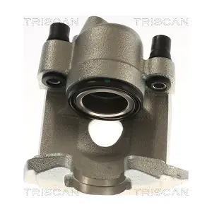 TRISCAN 8175 29165
