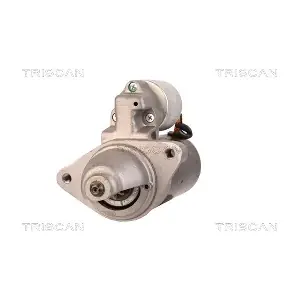 TRISCAN 8305 10121