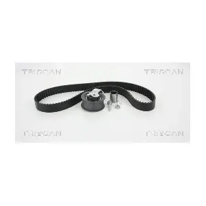 TRISCAN 8647 29066