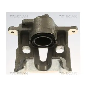 TRISCAN 8175 29175