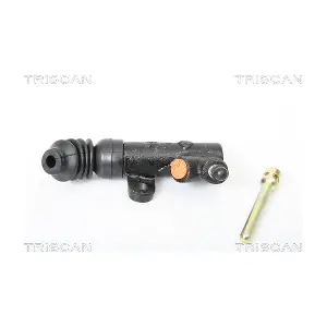 TRISCAN 813050313