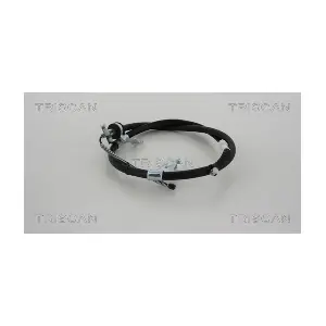 8140.131162 TRISCAN