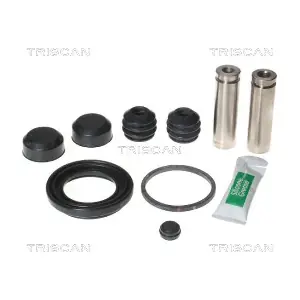8170 204608 TRISCAN