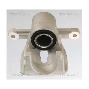TRISCAN 8175 13205
