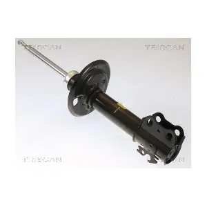TRISCAN 870513108