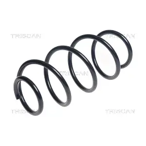 6114878 TRISCAN