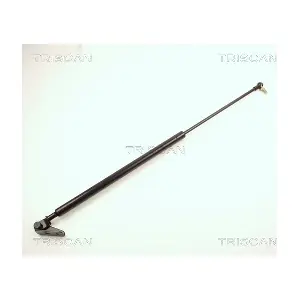 464025 TRISCAN