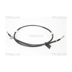 8140.131129 TRISCAN