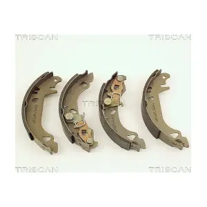 TRISCAN 810015547