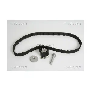 TRISCAN 8647 25038