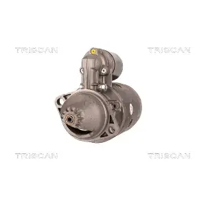 TRISCAN 8305 10117