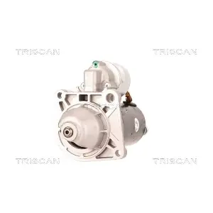TRISCAN 8305 29067